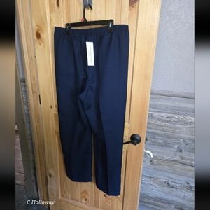 Alfred Dunner Classic Pull On Pant Proportioned Medium Length  Size 16  St#09201